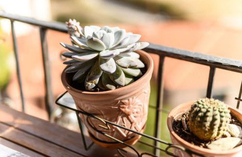 Makri Heights - Foto 47