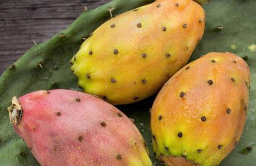 Le Giraffe ( n.CIS LE07503191000035725) - Foto 11