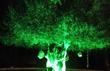 Casal Mastro appartamenti e camere con piscina - Foto 9