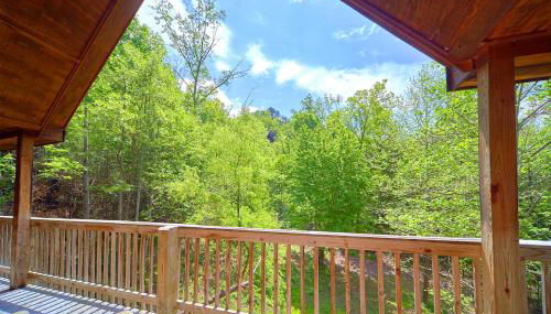 African Safari by Jackson Mountain Rentals - Foto 5