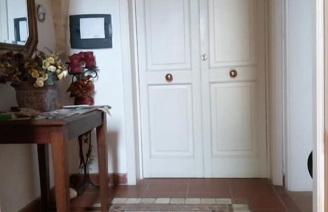 Gecko's House - Foto 16