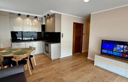 Nowa Dzielnica Cztery Apartamenty przy Tężni - Foto 7