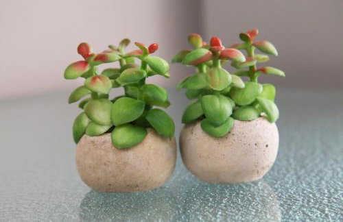 The Superhost - Casa Grande - Foto 13