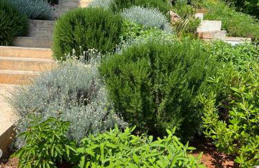 Apartman Villa Katrina - Photo 29