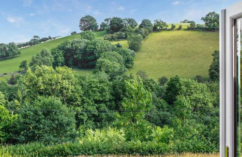 Barcud Coch - Uk44539 - Foto 25