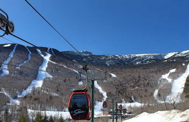 1230 Studio at The Lodge at Spruce Peak - Photo 10