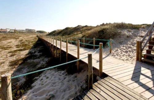 MindeloThePalm - Foto 27