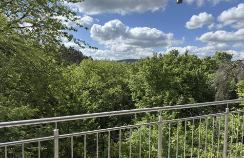 Ferienhaus Sackpfeifenblick, Hatzfeld - Photo 71