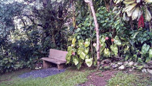 Ouro Grosso Chales - Foto 4, Garden, Garden view