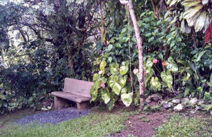 Ouro Grosso Chales - Foto 4