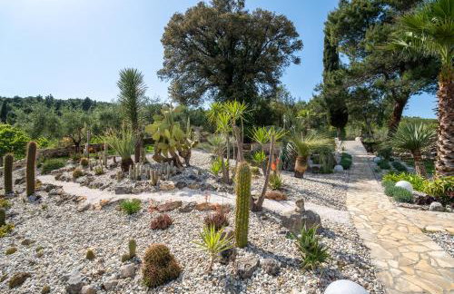 Aurora Lukorana - Photo 51