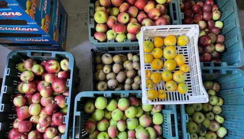 Agriturismo Fattoria Togonegro - Foto 3