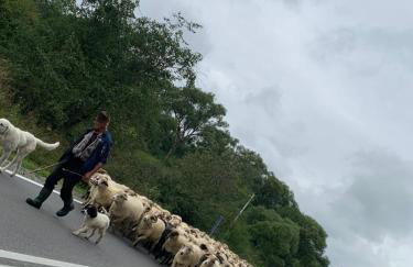 AGROTURYSTYKA DOR-Ali u Ali - Foto 15