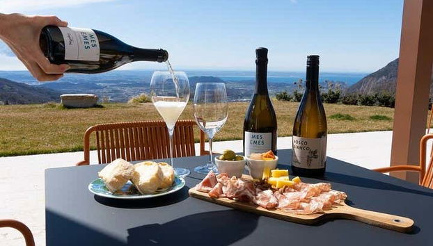 Spiazzi Winery Wine Tasting - Photo 5