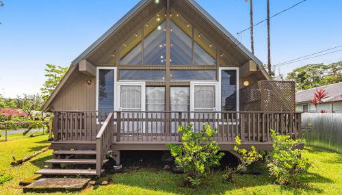 Sea Turtle Life - Foto 1