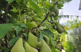 E s s e n t i a l Pompei - Foto 7