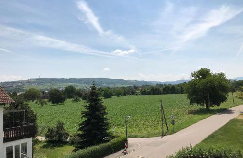 Ferienwohnung Eimeldingen - Foto 8