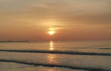 Les Hirondelles - Foto 10