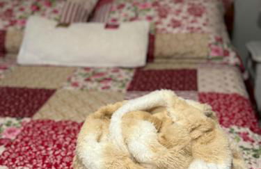 A Cozy Loft in Templeton - Foto 19