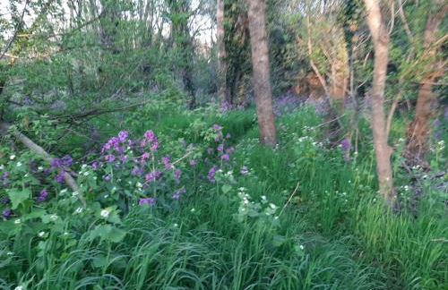 VILLA RIVIERE - Foto 45