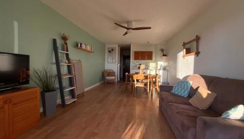 "Les Palmiers" Studio spacieux vue mer Terrasse & Parking - Foto 5