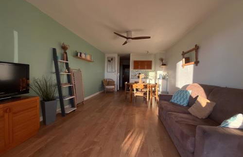 "Les Palmiers" Studio spacieux vue mer Terrasse & Parking - Foto 5