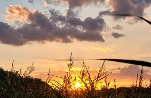 Stonesthrow 184 Broadside Chalet Park Stalham - Photo 39