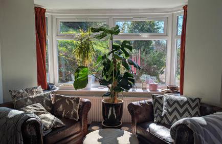 Rose Cottage - Foto 4