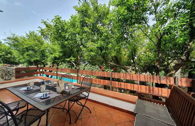 Edera di Patrizia - Foto 12