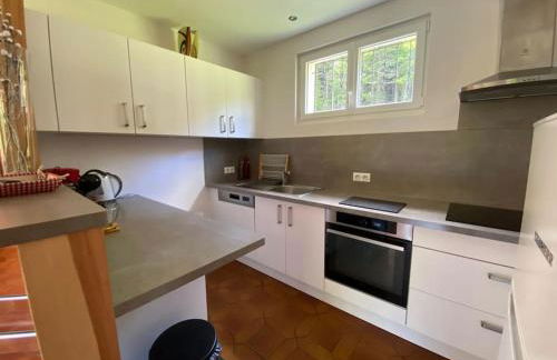 CHALET DES HAUTS SAPINS LA BRESSE - Photo 12