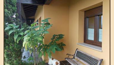 Apartamentos Guidan - Foto 4