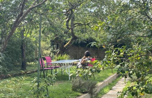 Charmante maison avec jardin en face du parc, proche commerces et attractions touristiques - FR-1-489-333 - Foto 9