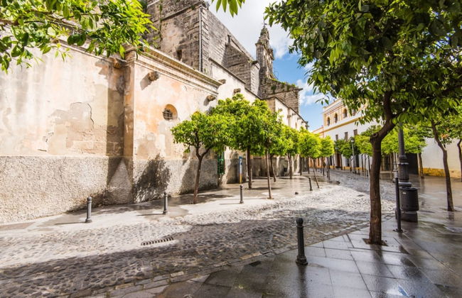 La Ronda C diz in Jerez de la Frontera - Foto 29