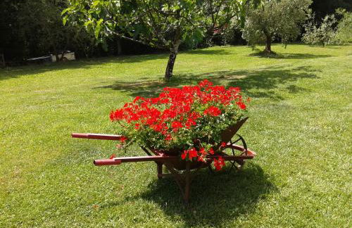 Podere Stollo - Foto 59