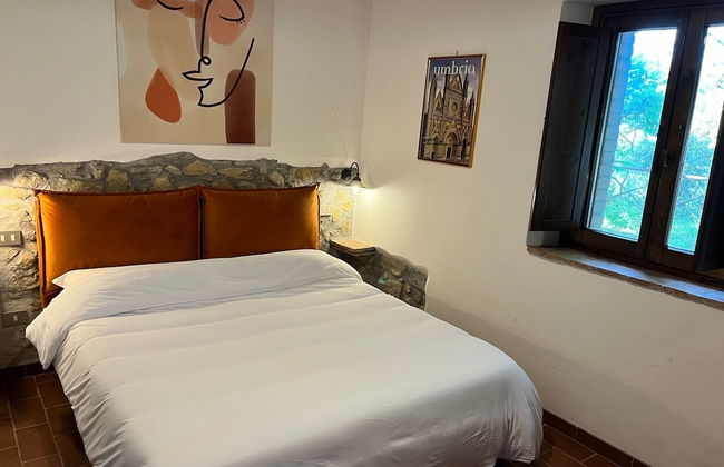 Il Mulino delle Canutole - Foto 4