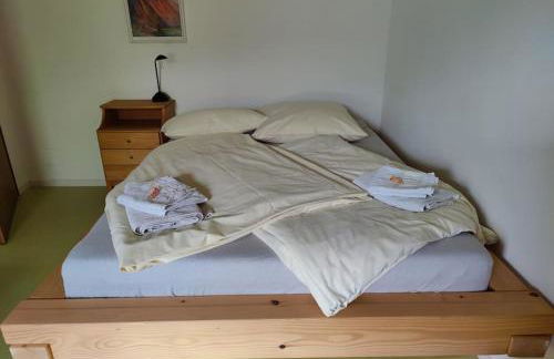 große Wohnung mit Dachterrasse - Foto 41