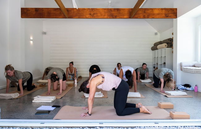 Bay and Bush, Jervis Bay - Photo 41