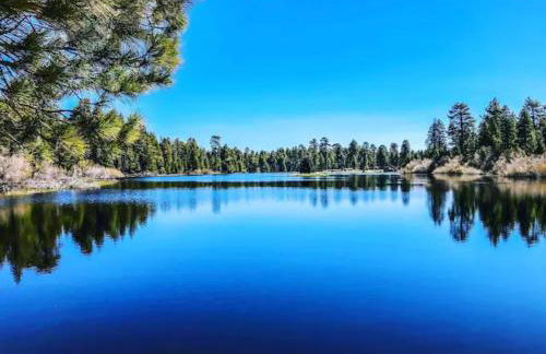 Snow Bunny Cottage, Pets Welcomed! - Foto 42