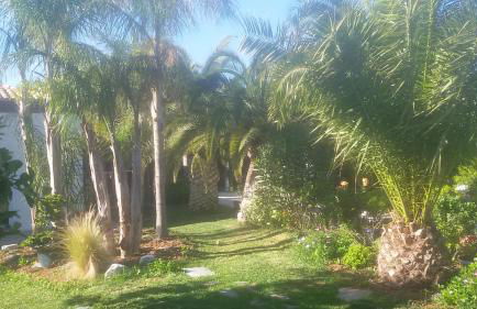 Villa Amadeus Xabia - Foto 37