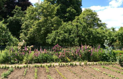 Ferienwohnung Haumannshof - Foto 32