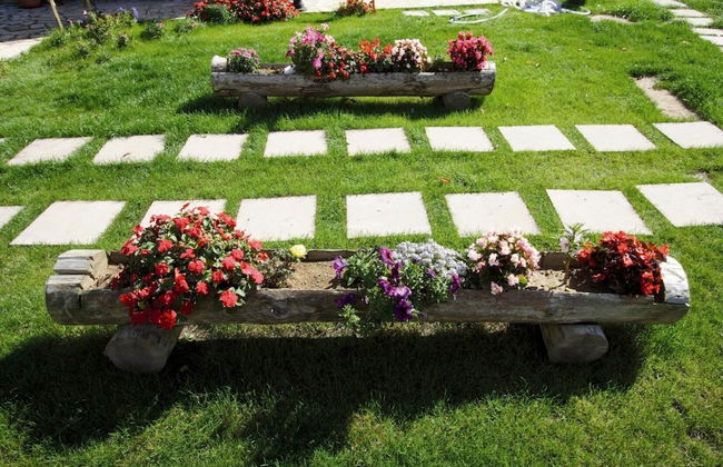 La Rosa Nel Bicchiere - Foto 50