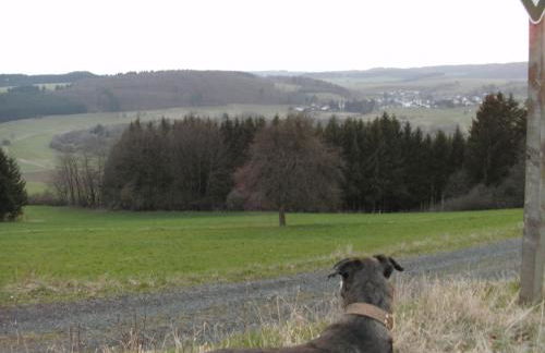 Funny-Farm - Foto 39