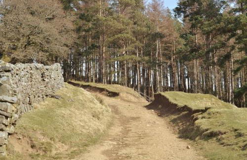 Fern Cottage - Cosy Dales Cottage in Nidderdale - Photo 37