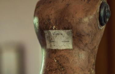 Fattorie di Montechiaro - Foto 30