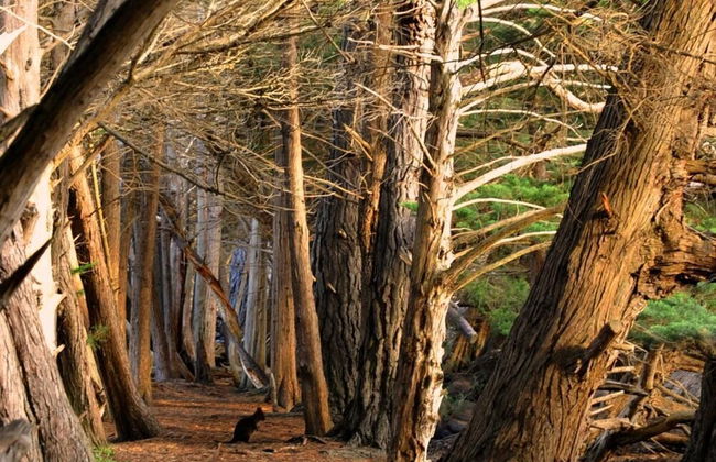 BIG4 Kelso Sands Holiday Park - Foto 20