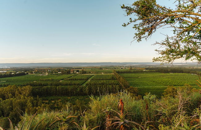 Hitgeheim Garden Cottages - Photo 30