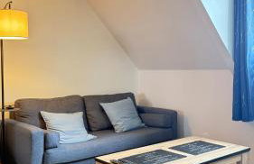 Wondernest Disneyland 14min - Foto 23