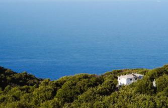 Om Living Pelion - Photo 51