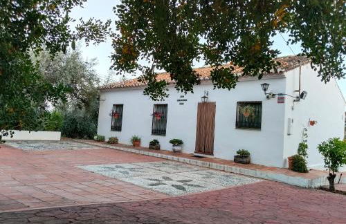 Los Tréboles - Foto 6