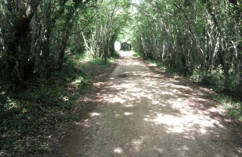 Apartment Asparagus - Photo 31